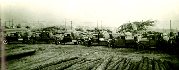 30s Logs World's Fair better shot